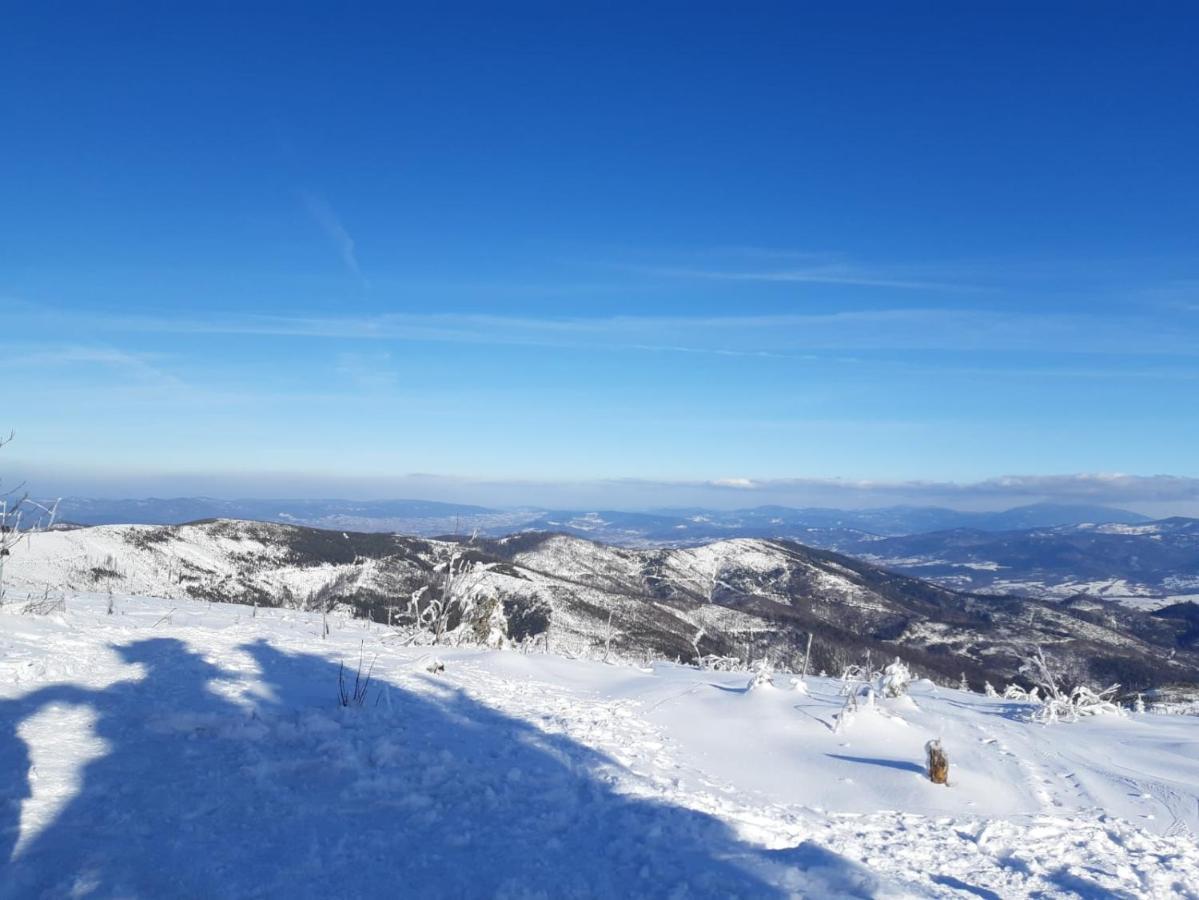 Chata Goralska Wojtasowka Kamesznica エクステリア 写真