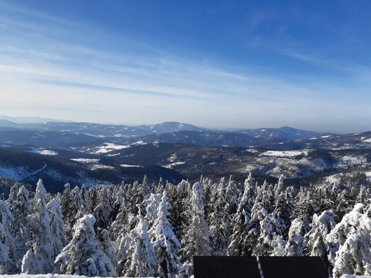 Chata Goralska Wojtasowka Kamesznica エクステリア 写真