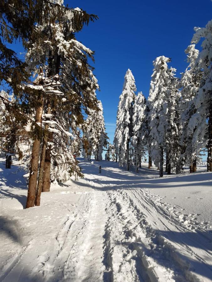 Chata Goralska Wojtasowka Kamesznica エクステリア 写真