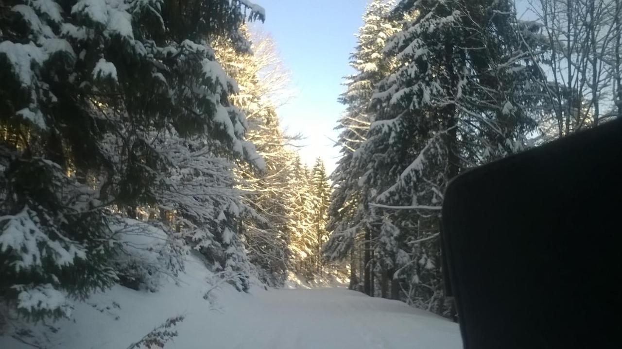 Chata Goralska Wojtasowka Kamesznica エクステリア 写真